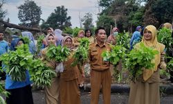 Manfaatkan Halaman Kantor, ASN di Babel Nikmati Aneka Sayuran Gratis