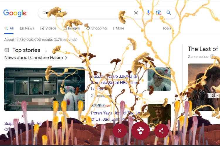 Jamur Cordyceps “Tumbuh” di Layar Saat “Googling” Serial “The Last of Us”