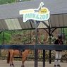 Viral, Video Kandang Kuda di Lembang Park and Zoo Diterjang Banjir