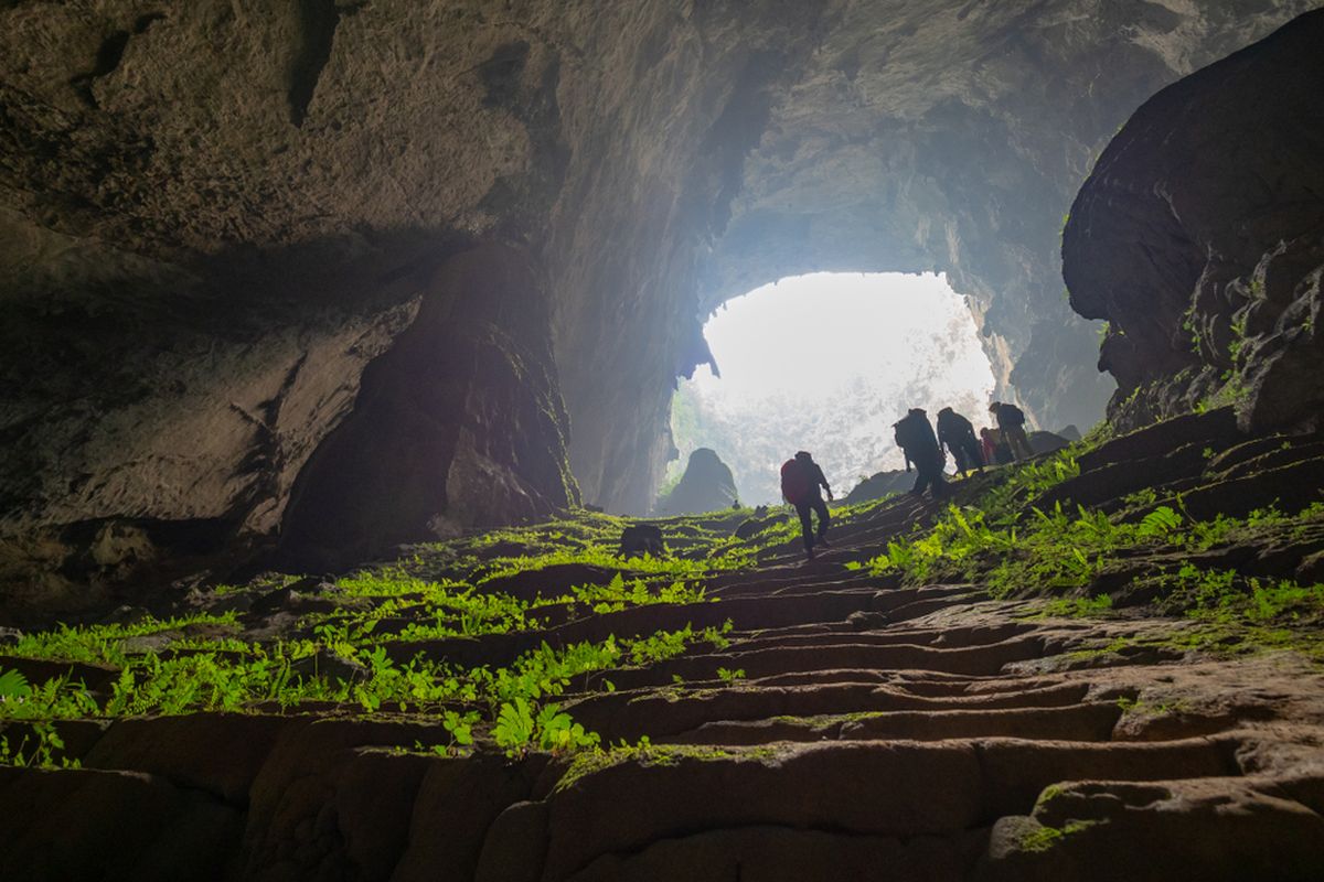 Hutan Son Doong, Vietnam