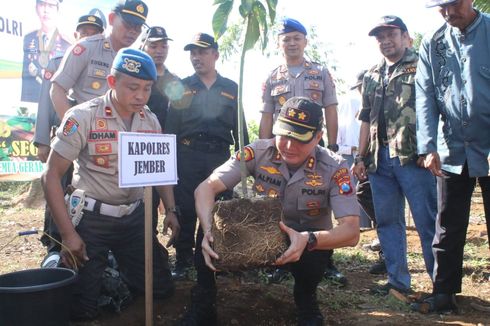 Hari Lingkungan Hidup, 50.000 Pohon Ditanam di Lahan Rawan Longsor 