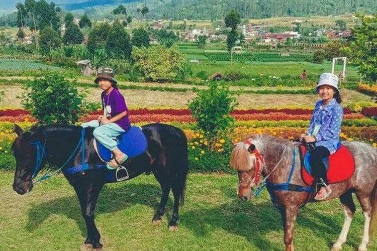 Anak-anak Sedang Berkuda di Happy Farm Bandung, Jawa Barat