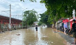 Masyarakat Jabodetabek Butuh Hutan Sebagai Penyangga, Tapi Alih Fungsi Lahan Kian Masif
