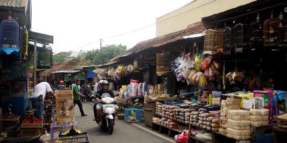 Pasar Burung splendid di Kota malang dahulu bernama Pasar Senggol.