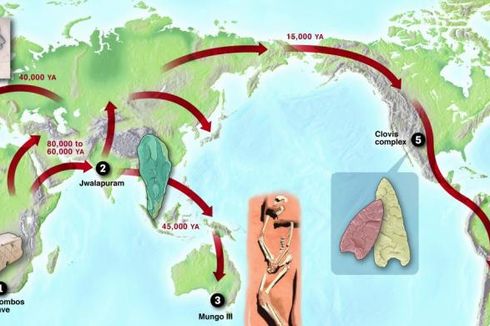 Riset Virus Herpes Mengonfirmasi Teori Migrasi Manusia 