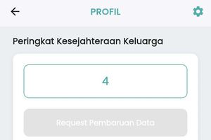 Cara Cek Desil Berapa di DTSEN, Cek Kategori Kesejahteraan Keluarga Anda