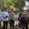 Dam Haji Dibayar di Indonesia, Kementan Soroti Dampak ke Peternak