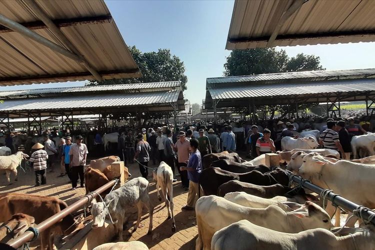 Suasana Pasar Hewan Siyono Harjo, Playen, Gunungkidul Kamis (18/7/2019)