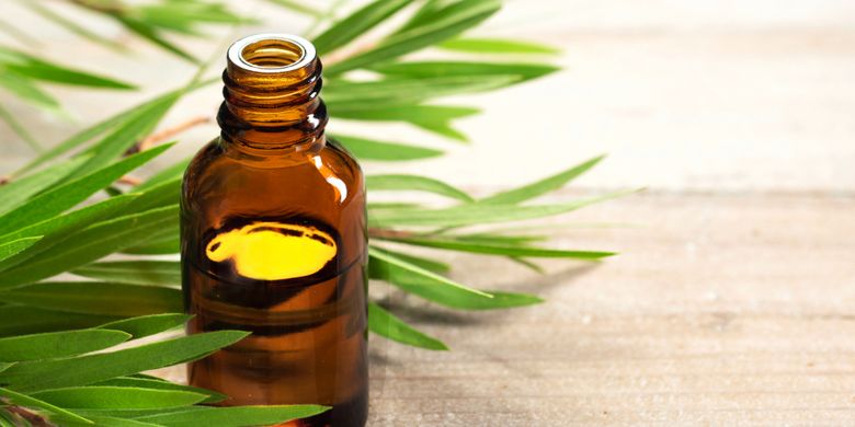 Selain Melawan Jerawat, Apa Saja Manfaat Tea Tree Oil? Halaman all -  Kompas.com