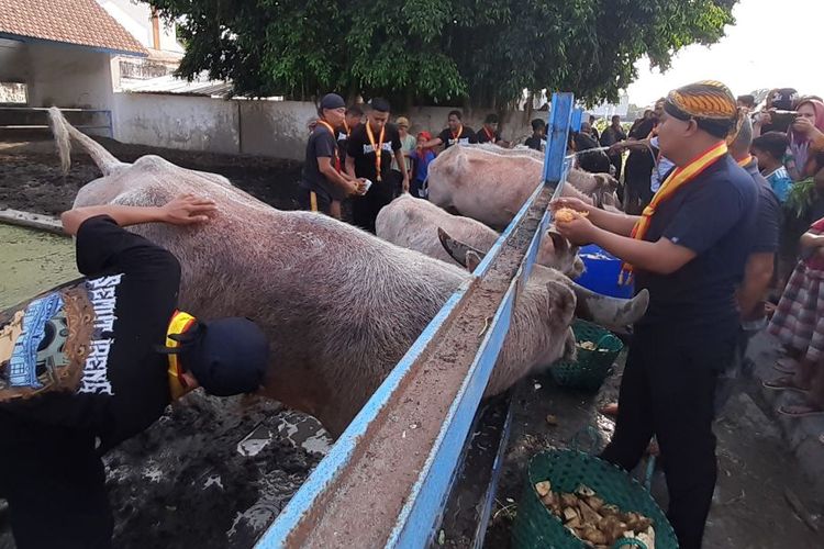 Tedjowulan dan Gusti Moeng Minta Respati Gelar Rapat Bersama Kirab 1 Suro Kedua Kubu
