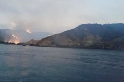 Sabana di Kawasan Taman Nasional Komodo Terbakar