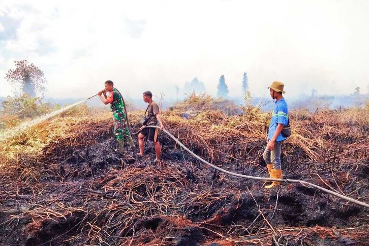 Petugas gabungan berjibaku memadamkan api karhutla di Desa Pauh, Kecamatan Bonai Darussalam, Kabupaten Rokan Hulu, Riau, Senin (19/6/2023).