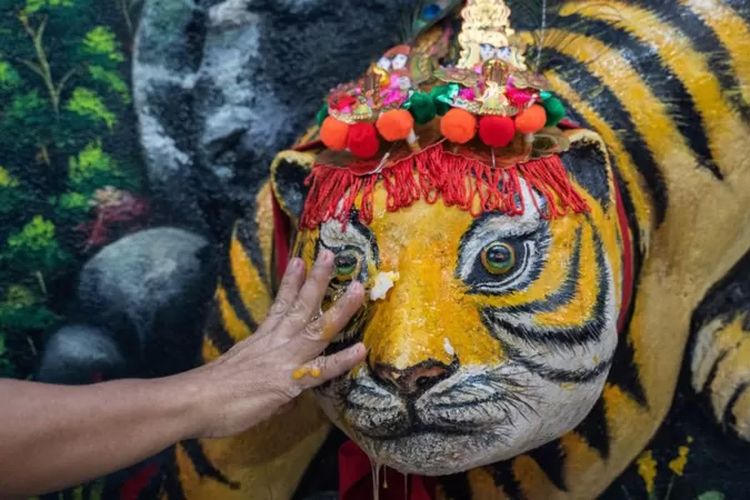 Seseorang mengusapkan telur pada patung harimau sebagai simbol untuk mendapatkan berkah di sebuah kuil China di Phnom Penh, Kamboja.