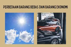 Perbedaan Barang Bebas dan Barang Ekonomi