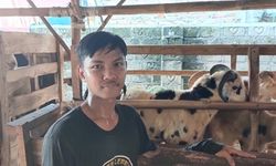 Dombanya Lolos QC THK Dompet Dhuafa, Peternak Gen Z Ini Jual Hewan Kurban secara Bertanggung Jawab