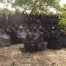 7 Tahun Diculik Boko Haram, Seorang Siswi Nigeria Akhirnya Dibebaskan 