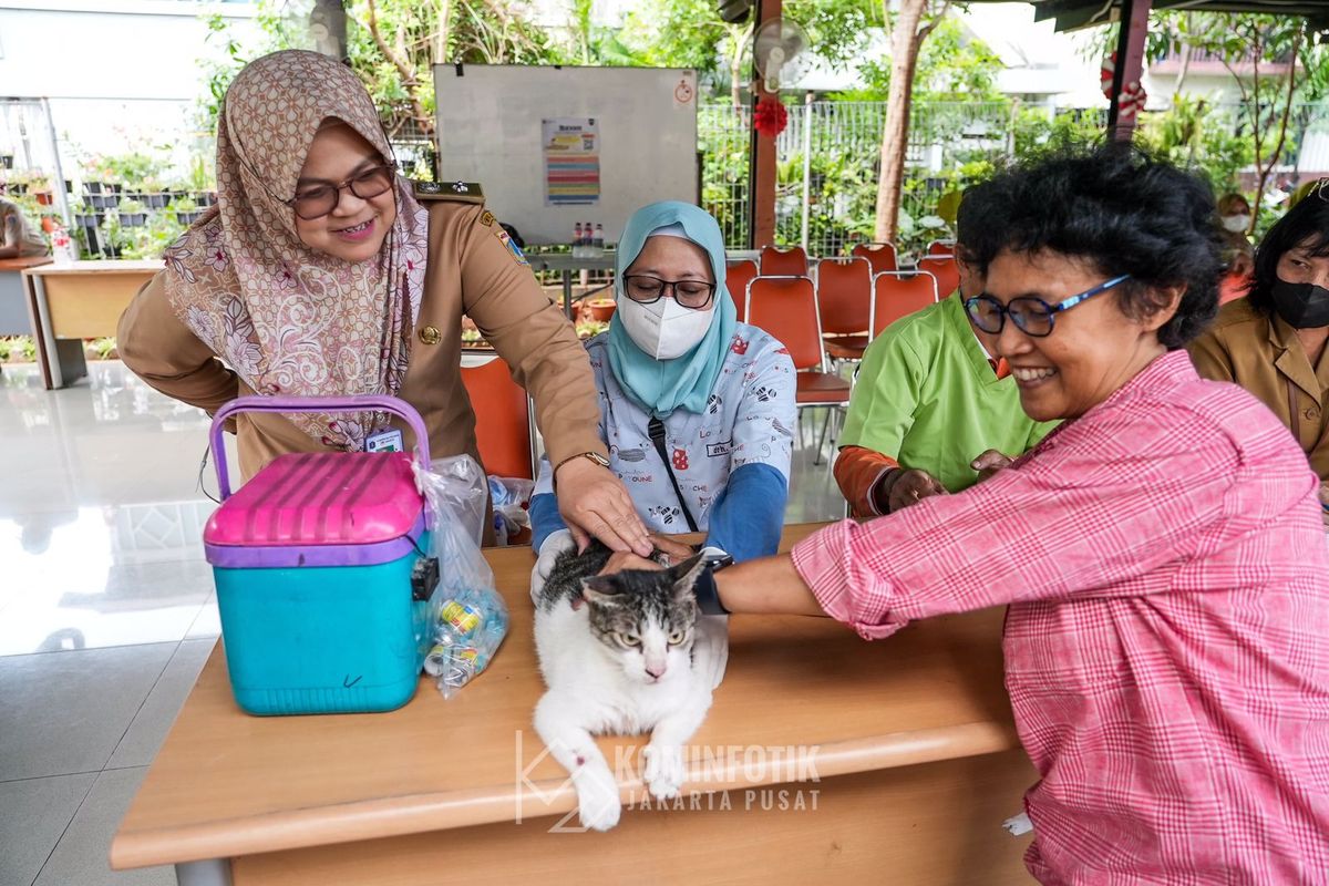 Pemberian vaksin rabies bagi kucing di RPTRA Melati 04, Bendungan Hilir, Tanah Abang, Jakarta Pusat, Selasa (23/1/2024).