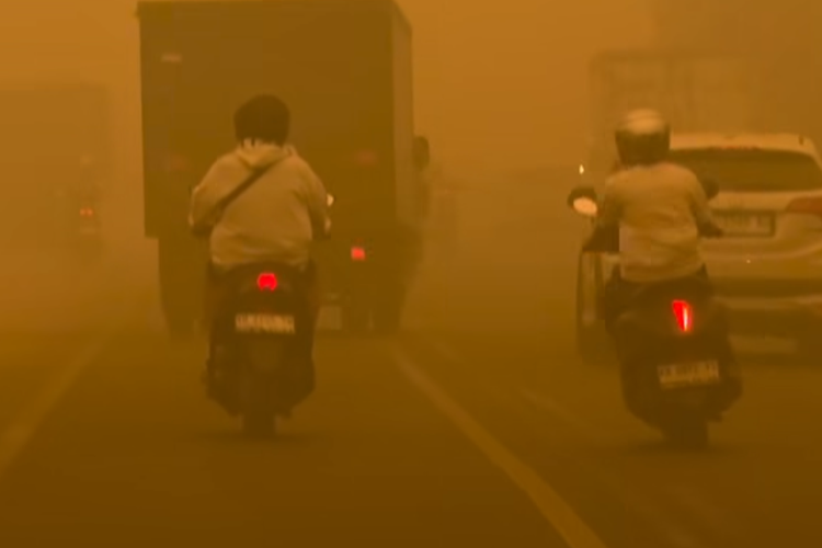 Asap Karhutla Masuk Atmosfer Jakarta, Warga Diminta Pakai Masker dan Batasi Keluar Rumah