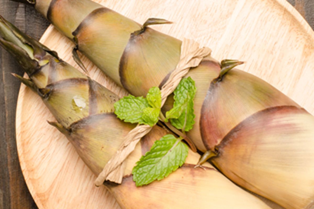 Rebung bambu atau bambu muda