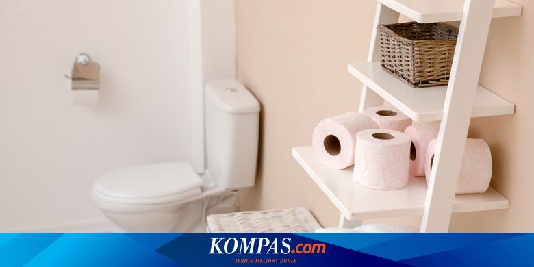 4 Bahan Alami Usir Bau Toilet Saat Musim Hujan