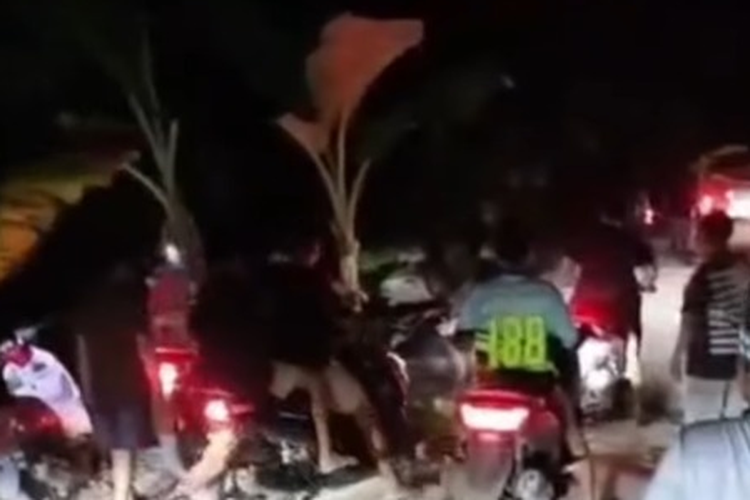 Jalan Provinsi Wajo-Sidrap Sulsel Rusak Hampir 20 Tahun, Warga Tanam Pohon Pisang