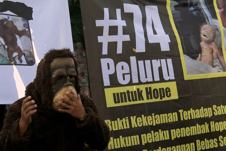 Puluhan aktivis yang tergabung dalam Koalisi Peduli Orangutan Sumatera menggelar aksi unjuk rasa mengecam pelaku penyiksaan induk dan bayi orangutan di Bundaran Simpang Lima, Pusat Kota Banda Aceh, Jumat (15/3/2019). Mereka menuntut keadilan untuk induk dan bayi orangutan yang mengalami penyiksaan di Subulussalam, Aceh, dan mendesak kepolisian segera mengungkap dan menghukum pelaku, serta menertibkan peredaran senapan angin dari masyarakat agar satwa dilindungi tak lagi menjadi sasaran peluru.