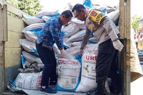 Diduga Selundupkan 10 Ton Pupuk Subsidi, Nenek di Lumajang Ditangkap