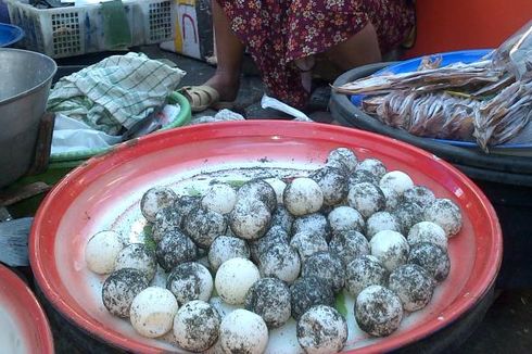 Telur Penyu Dijual Bebas di Pasar Tradisional Mataram
