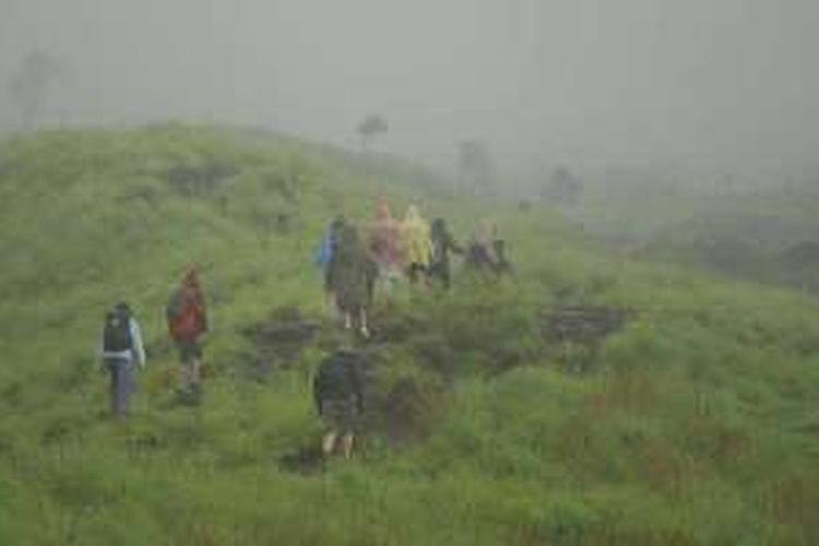 Pendaki menapaki padang sabana menuju puncak Gunung Rinjani di Nusa Tenggara Barat, Minggu (24/1/2016). Saat ini, 90 persen pendaki gunung berapi kedua tertinggi di Indonesia dengan ketinggian 3.726 meter di atas permukaan laut itu adalah wisatawan mancanegara.
