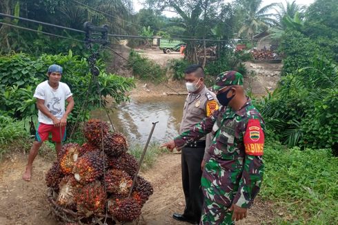 3 Bocah SD Bergelantungan Seberangi Sungai Bukan karena Tak Ada Jembatan, tapi Cari Jalan Pintas