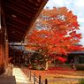 4 Kuil Terseram di Jepang, Berani Uji Nyali di Sana?