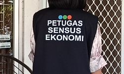 Data Sensus Ekonomi Penting untuk Bantu UMKM Naik Kelas