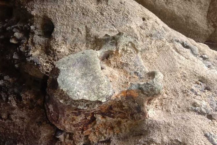 Terlihat fosil tulang yang diduga hewan purba di sebuah pulau kecil di tengah Waduk Saguling, Bandung Barat.