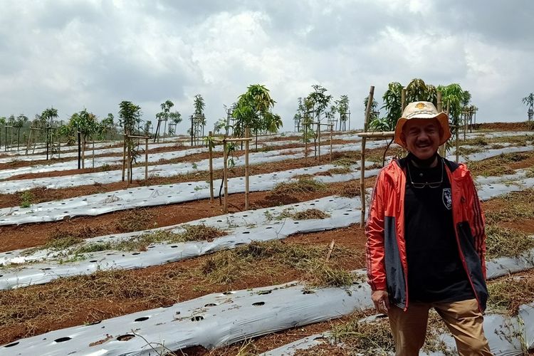 Setelah berakhir masa jabatannya sebagai Wakil Bupati Bandung Barat dan Pelaksana Tugas Bupati Bandung Barat Periode 2013-2018, Yayat T Soemitra memutuskan untuk berbisnis pertanian dan membuka lahan pertanian di daerah Tenjolaut, Kabupaten Bandung Barat.