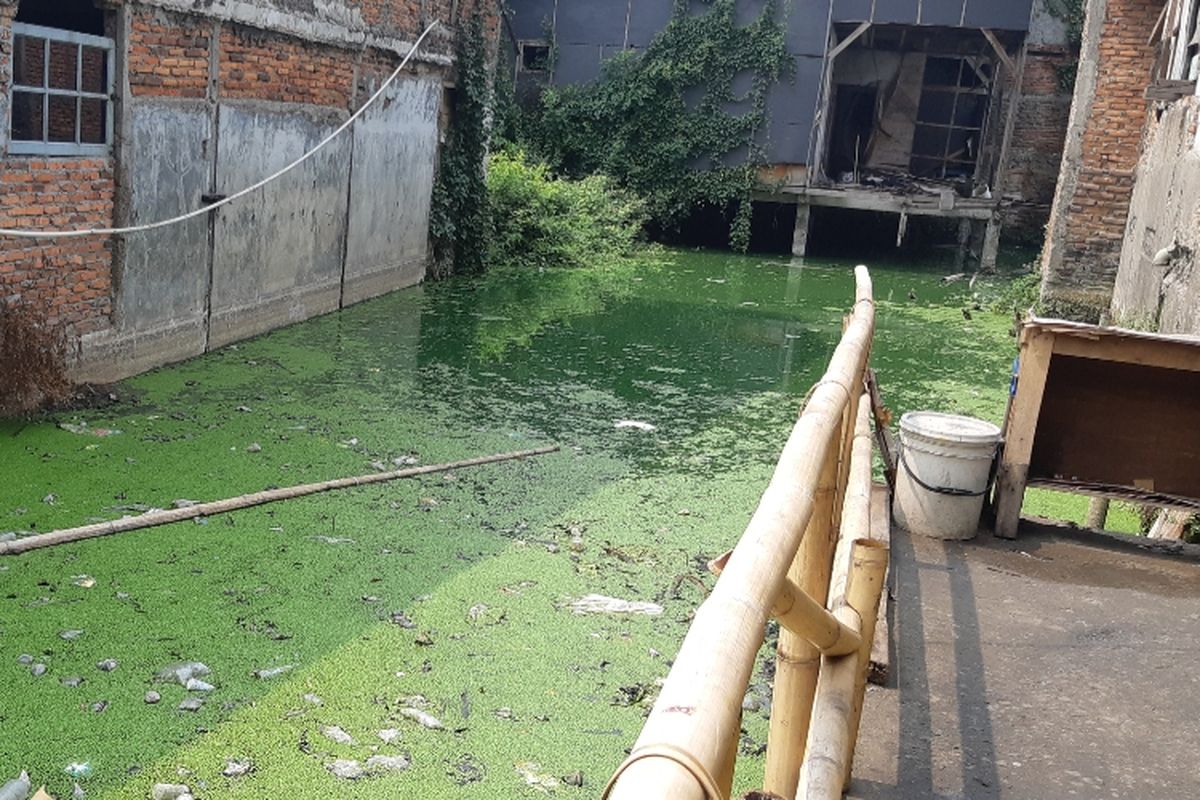Kolam air yang terdapat di sela-sela rumah di Kampung Apung, Kapuk, Cengkareng, Jakarta Barat. 