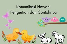 Komunikasi Hewan: Pengertian dan Contohnya