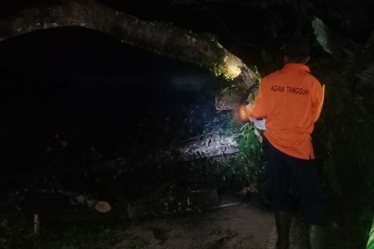 Petugas BPBD Agam membersihkan pohon tumbang akibat angin puting beliung  yang mengganggu akses jalan, Kamis (22/10/2020) malam