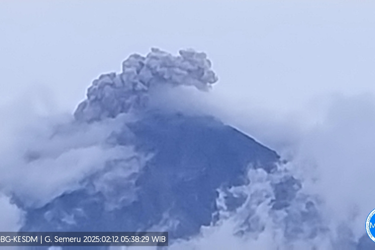 Visual erupsi Gunung Semeru berupa letusan setinggi 1.000 meter, Rabu (12/2/2024)