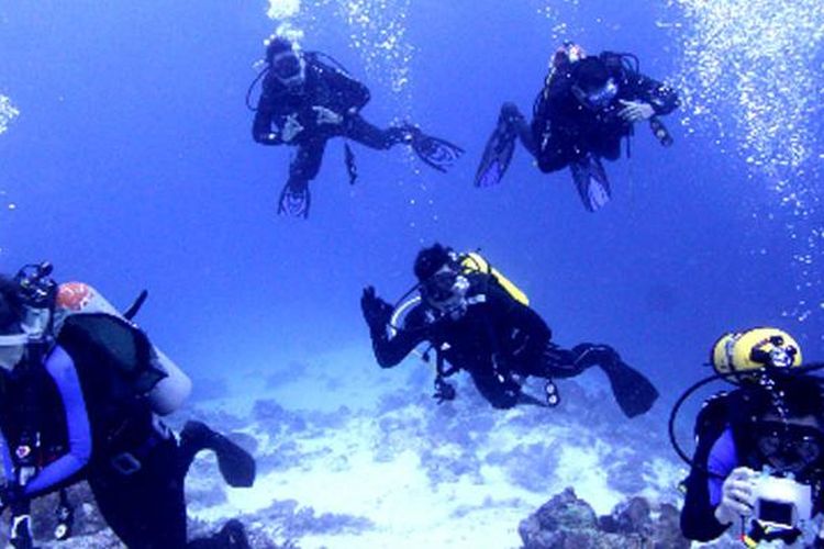 Divers saat melakukan Scuba Diving