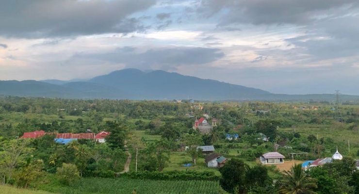 Kawasan Hutan di 19 Lokasi Transmigrasi Sudah Dilepaskan