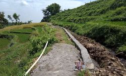 Antisipasi Kekeringan, Mentan Minta Petani Percepat Musim Tanam 