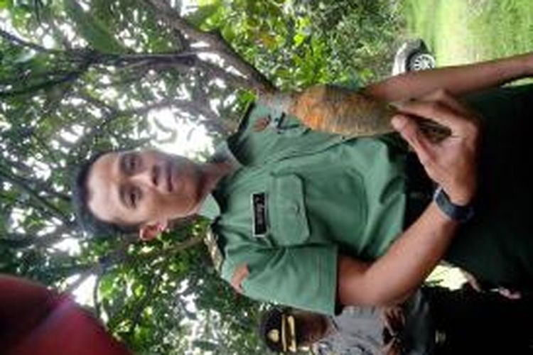 Personil TNI menunjukkan mortir jenis 60 mm US yang ditemukan warga di parit Kelurahan Tosaren, Kecamatan Pesantren, Kota Kediri, Jawa Timur, Senin (6/1/2014).