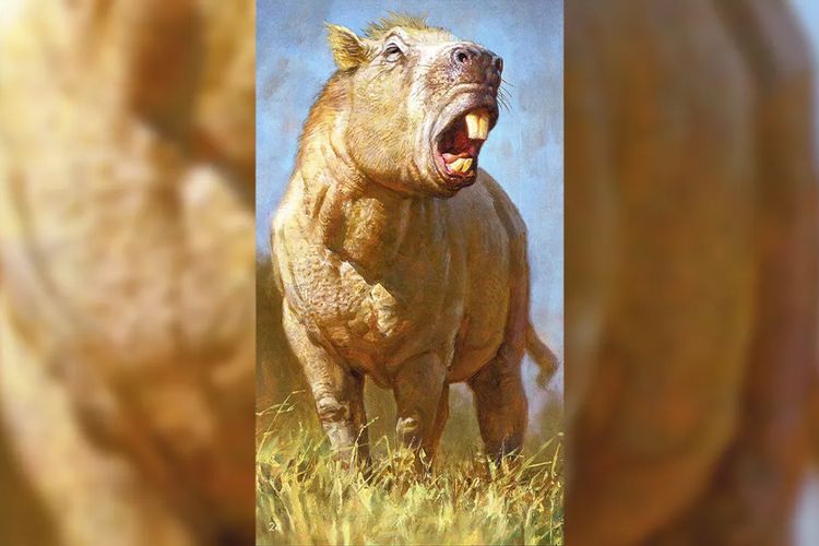 Mengenal Josephoartigasia monesi, Tikus Raksasa Purba Seberat 500 Kg