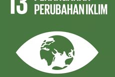 Daftar Indikator Tujuan 13 SDGs Penanganan Perubahan Iklim