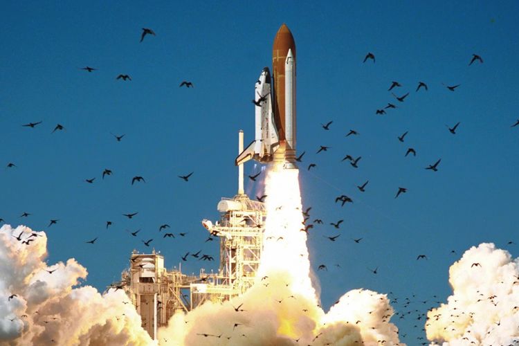 Peluncuran pesawat luar angkasa Challenger milik NASA pada 28 Januari 1986 di Cape Canaveral, Florida, mengganggu kawanan burung di sekitarnya. 