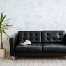 5 Tanda Sofa Kulit di Ruang Tamu Anda Perlu Segera Diperbaiki