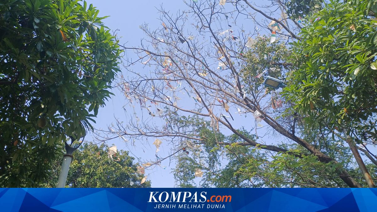 Warga Jakut Keluhkan Benang Layangan Menjuntai, Disebut Bisa Menjerat Leher Pengendara