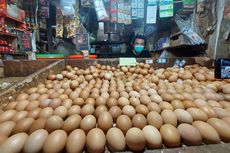 Harga Telur Ayam Tembus Rp 31.000 Per Kg, Peternak: Tertinggi dalam Sejarah