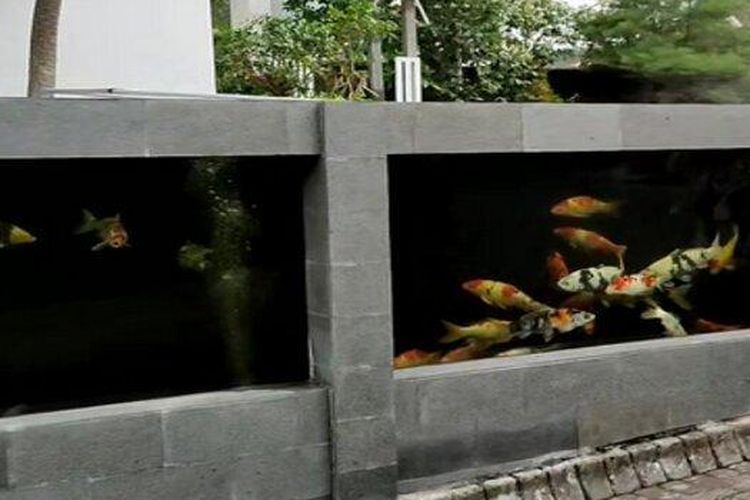 Pagar rumah yang terbuat dari kolam ikan koi milik Jeje (35), warga Malang, Jawa Timur, ini viral di media sosial.