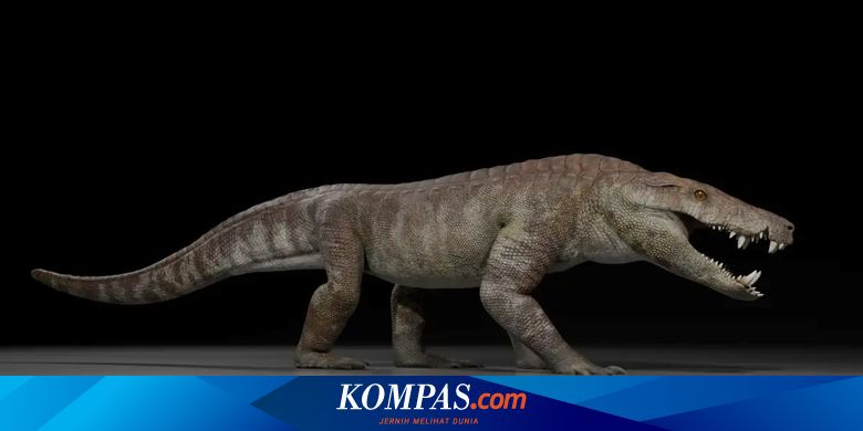 古代のワニの化石goti t. rexが発見されたと言われています。